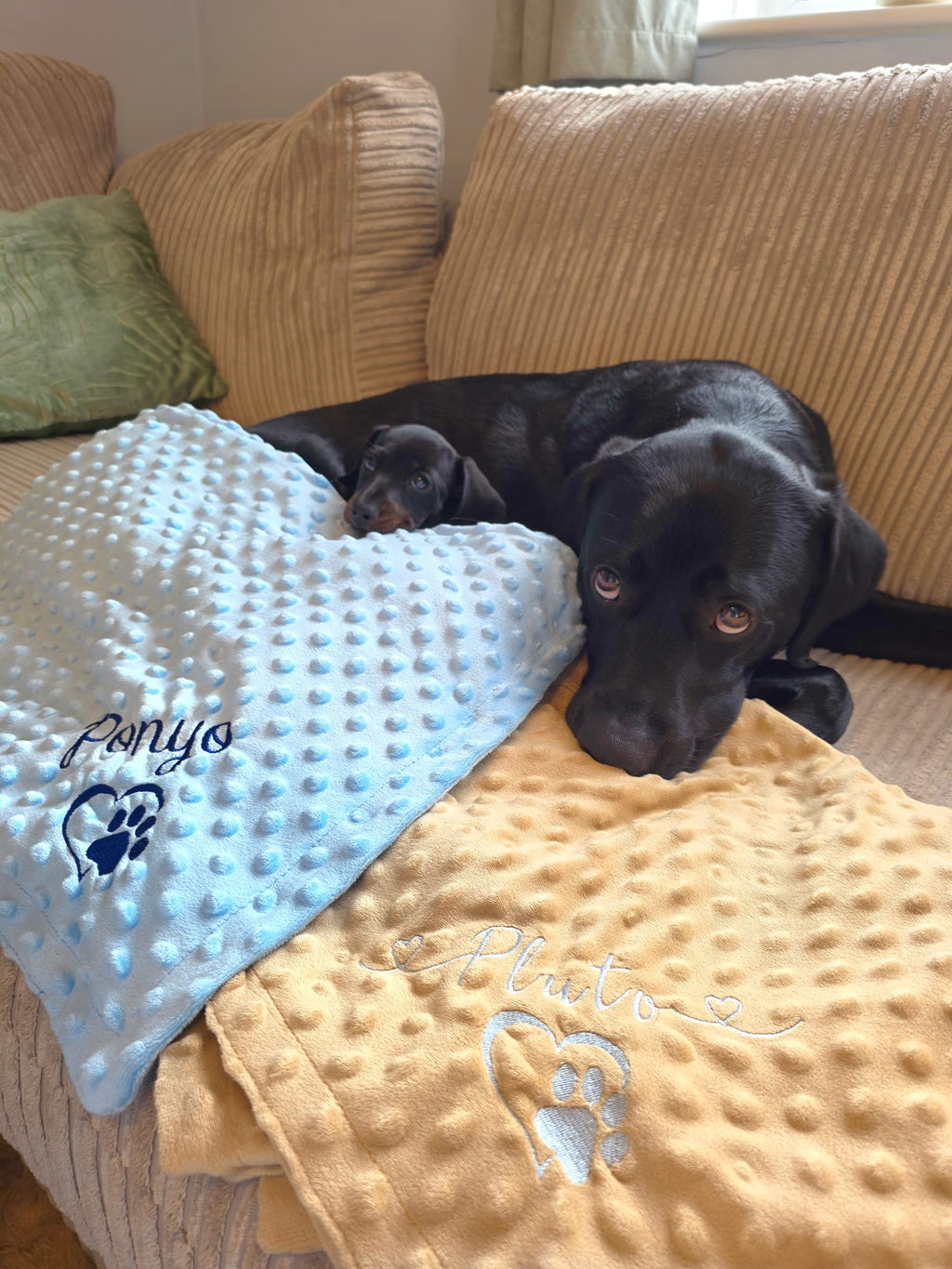 Embroidered Personalised Pet Blankets