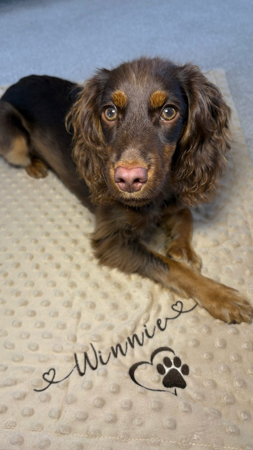 Embroidered Personalised Pet Blankets