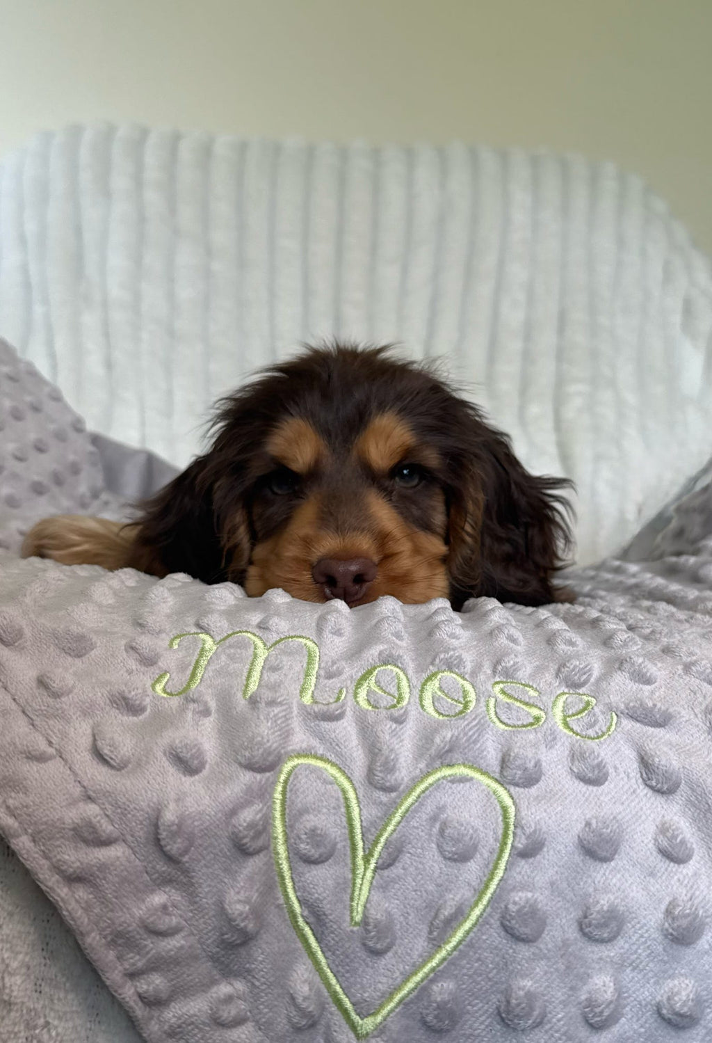 Embroidered Personalised Pet Blankets