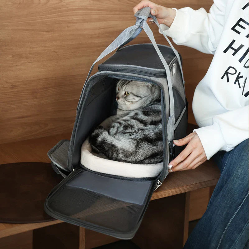 Foldable Cats & Dogs Carrier Bag–Soft Mesh Travel Carrier.